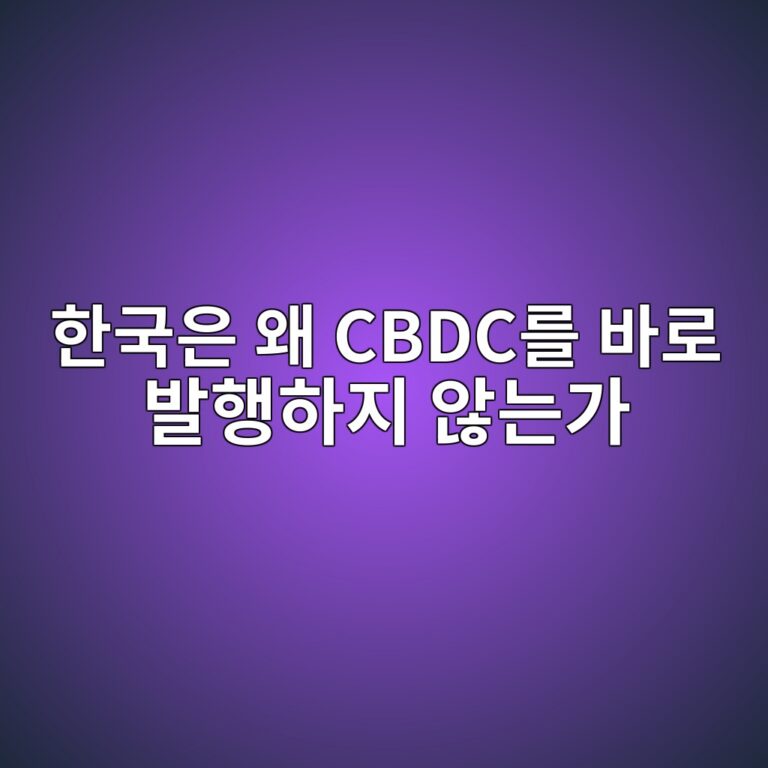 한국은 왜 CBDC를 바로 발행하지 않는가 - Generated Thumbnail